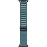 Apple Watch Ultra Alpine Loop 49 mm Hellblau Titan Schwarz Large