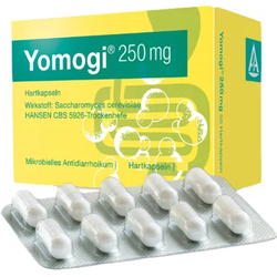 Yomogi 250 mg Hartkapseln 20 St