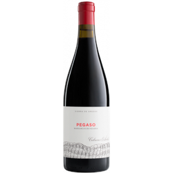 Pizarra 2020 - Pegaso - Telmo Rodríguez