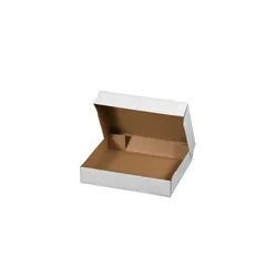 smartboxpro 640 x Klappdeckelkarton 510x310x100mm