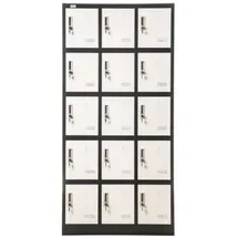 Jet-Line Metall Schrank Schließfachschrank 15 Fächer BUDAPEST Spind dunkelgrau-weiß