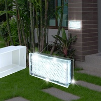 Pflasterstein Boden Einbau Leuchte AUSSEN LED | Transparent | Klar | Kunststoff