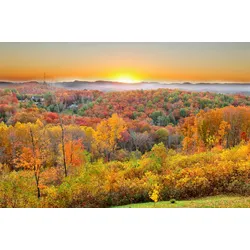 Fototapete PAPERMOON "Waldlandschaft", bunt, B:4,00m L:2,60m, Vlies, Tapeten