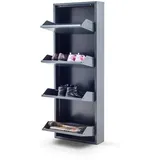 Gowoll Schuhschrank, Anthrazit, Metall, 50x137x15 cm, Garderobe, Schuhaufbewahrung, Schuhkipper