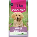 Eukanuba Puppy Large Lamm & Reis 2 x 12 kg