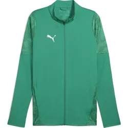 Puma Teamcup Training Jacket sport green-puma silver-power green (05) 3XL