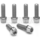 RITCHEY Ersatzschrauben-Set Ritchey Comp Trail/4Axis 6 Stück Edelstahl Silber