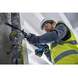 Bosch GSA 185-LI ohne Akku