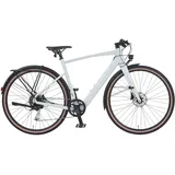 Prophete Urbanicer 2.9 28 Zoll RH 53 cm grau