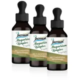 increase naturally Liposomaler Magnesium Komplex Tropfen 180 ml