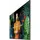 Samsung QM75C 75" schwarz