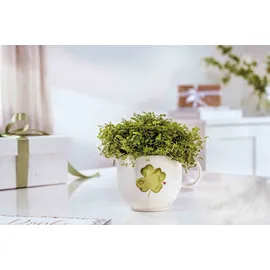 Villeroy & Boch With Love Frühstücksset 3-tlg. bunt