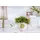 Villeroy & Boch With Love Frühstücksset 3-tlg. bunt