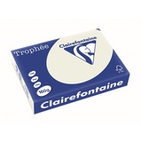 Clairefontaine Trophée A4 160 g/m2 250 Blatt grau