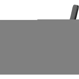 furnicato Sonnenliege 147 x 61 x 95 cm Schwarz