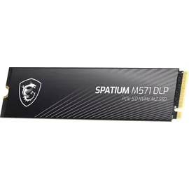 MSI Spatium M571 4 TB M.2