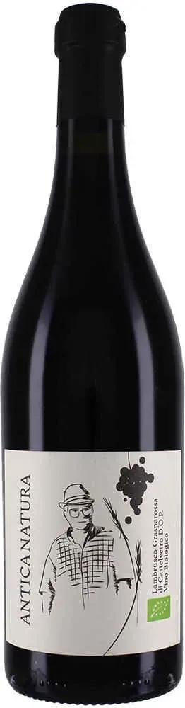 Cantina Puianello   Zanasi Antica Natura Lambrusco Grasparossa  Lambrusco Italien