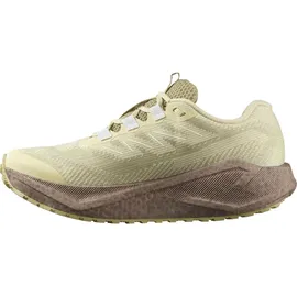 Salomon Aero Blaze 3 Damen Grün Haze / Iron / Ice Flow 38,5