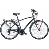 Montana Cityfahrrad 28 Zoll NEW Lunapiena 21-Gang Man, grau