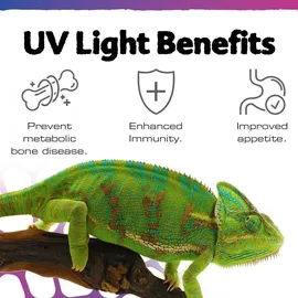 Exo Terra TerraSky UV-LED 10W, - UVB LED-Leuchte für Terrarien, individuell steuerbares Lichtspektrum, Fernbedienung, IP54, inkl. Timer