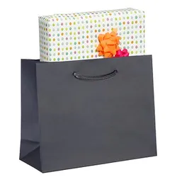 25 VP Papier-Tragetaschen anthrazit 25,0 x 20,0 cm
