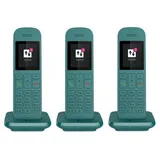 Telekom Speedphone 12 Trio petrol