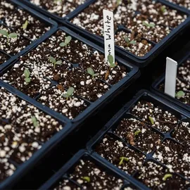 Gardenguru Perlite 125L für Pflanzen zur Bodenverbesserung Bauwesen Substrat ideal für Garten und Zimmerpflanzen
