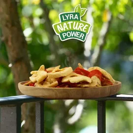 Lyra Pet 1 kg Lyra Pet® Obst-Gemüse-Mix getrocknet