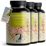 Magnesium Kapseln 1095x - 668mg Magnesium-Oxid, davon 400mg Magnesium pro Kapsel - sehr hoher Magnesium-Gehalt (60%) - Laborgeprüft mit Zertifikat - 100% vegan - Vorrat für ein volles Jahr