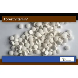 Forest Vitamin Koffein Tabletten 100 St.