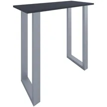 VCM Bartisch Xona 110x50