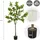 ML-Design Kunstpflanze Zitronenbaum 160 cm, aus Kunststoff,