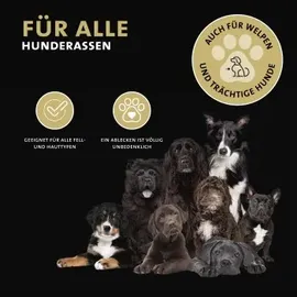 Peticare Anti-Parasiten Mittel für Hunde-Ohren 50 ml