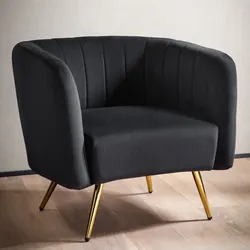 Loungesessel FineBuy Clubsessel Samt Metall Schwarz Cocktailsessel Schalenstuhl