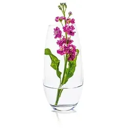 RONA Vase Ambiente transparent