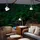 Fabas Luce Armanda Weiß