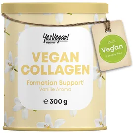 yes vegan Vegan Collagen Pulver 300 g