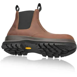 CARHARTT Carter Herren Dunkelbraun 42