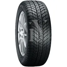 Platin Rp 70 Winter 175/65 R14 82T