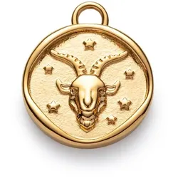 PAUL HEWITT - ANHÄNGER - CHARM - Capricorn -  gold