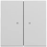 Gira Wippschalter 363176