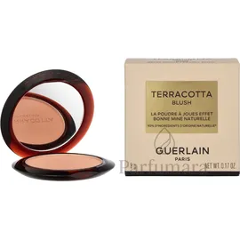 Guerlain Terracotta Blush #00