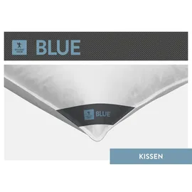 SPESSARTTRAUM Federkissen Blue 80 x 80 cm Weiß