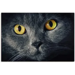 Wandbild ARTLAND "Katzenaugen", schwarz (farbe bild(er): schwarz), B:90cm H:60cm, Bilder, als Alubild, Outdoorbild, Leinwandbild, Poster in verschied. Größen