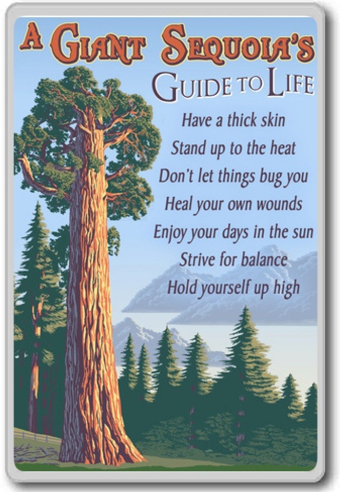 A Giant Sequoia Guide To Life - motivational inspirational quotes fridge magnet - Kühlschrankmagnet