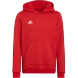 Adidas Kinder Kapuzenpullover Entrada 22