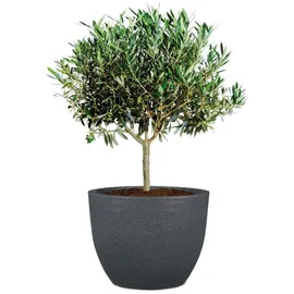 Scheurich Firenze 60 Ø 59,5 x 45,8 cm Schwarz-Granit