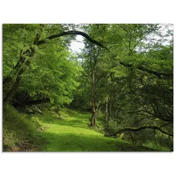 Glasbild ARTLAND "Grüner Weg durch den Wald", grün (farbe bild(er): grün), B:80cm H:60cm, Bilder, in verschiedenen Größen