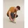 Icebreaker Merino Hike+ Light Crew Wandersocken 1 Dark Loden/Lichen 39-41