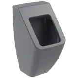 Villeroy & Boch Venticello Absaugurinal (5504R0)